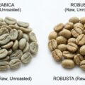 Arabica vs robusta: alt du skal vide om kaffebønner